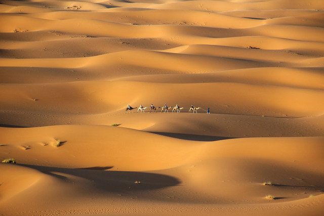 Пустыня Сахара Марокко
