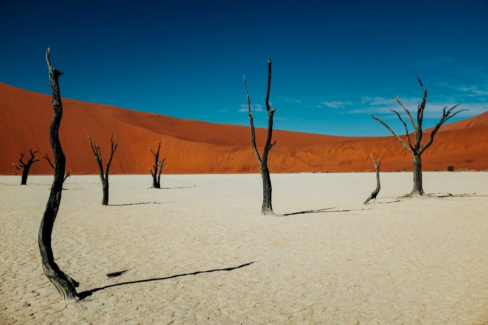 Пустыня Намиб Намибия