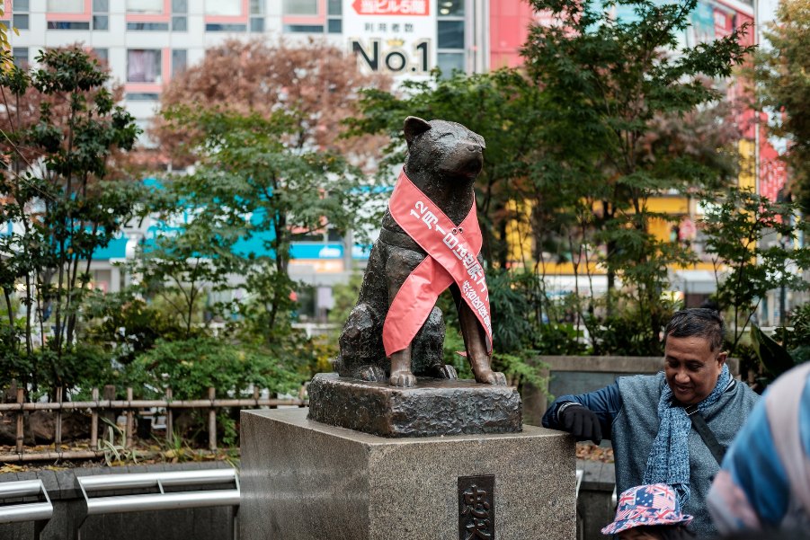 Памятник Хатико в Токио Япония