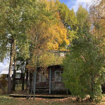 Золотая осень Пушкинские горы Пушгоры