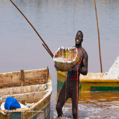 Добыча соли на Розовом озере Сенегал
