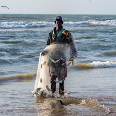 Рыбак Сенегал