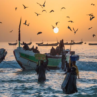 Рыбаки Мавритания