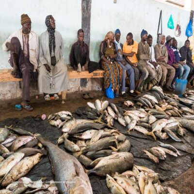 Рыбный рынок Сенегал