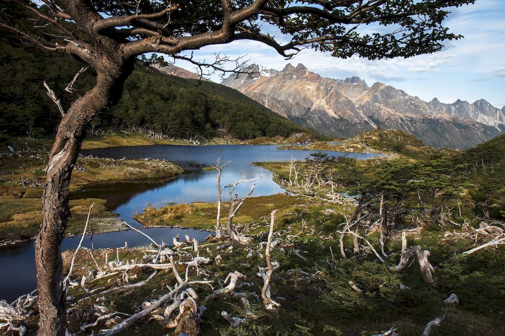 Национальный парк Огненная Земля Ушуайя Аргентина