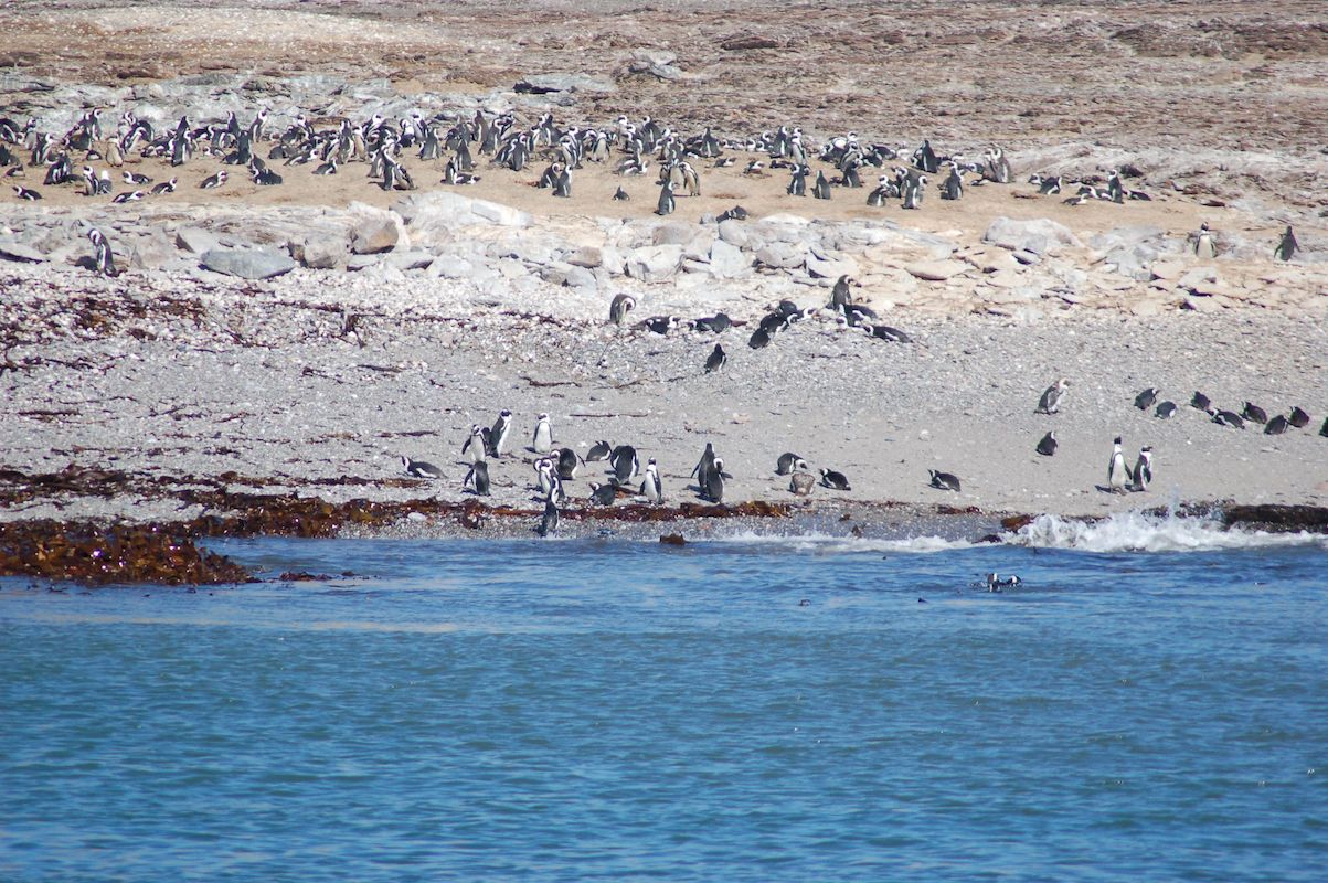 Острова Пингвинов рядом с Людерицем Намибия