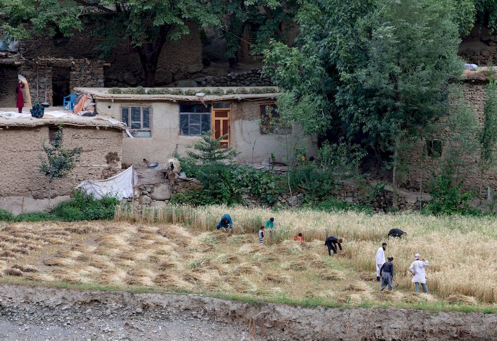 Афганская жизнь по ту сторону реки Пяндж Таджикистан