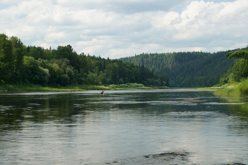 Река и лес Урал