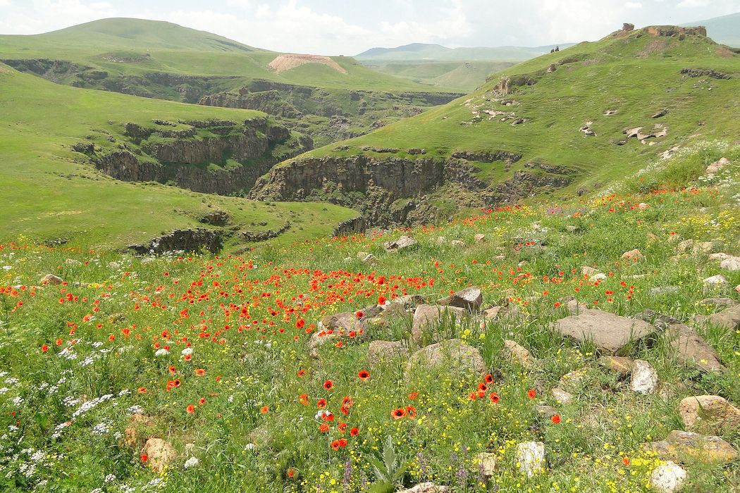 Каньон реки Арпачай - граница Турции и Армении