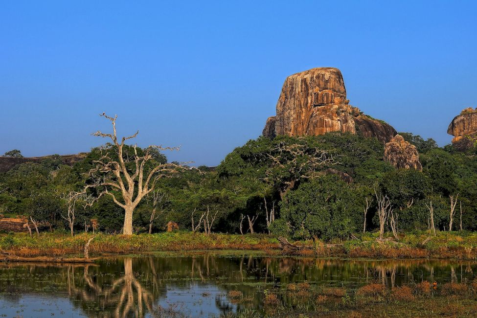 Национальный парк Яла Шри Ланка