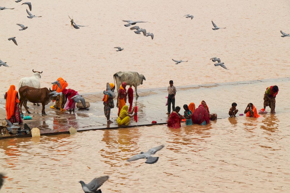 Омовение в священном озере Пушкара Индия