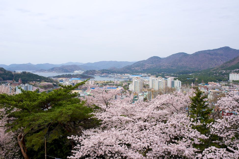 Чинхэ Южная Корея