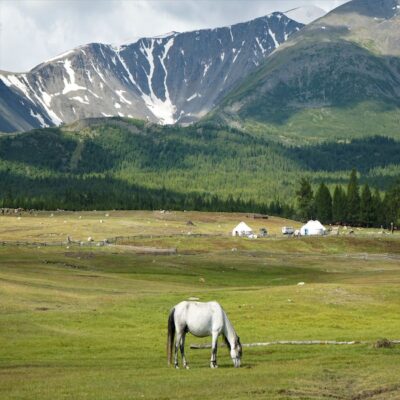 Баян-Улгийские предгорья Монголия