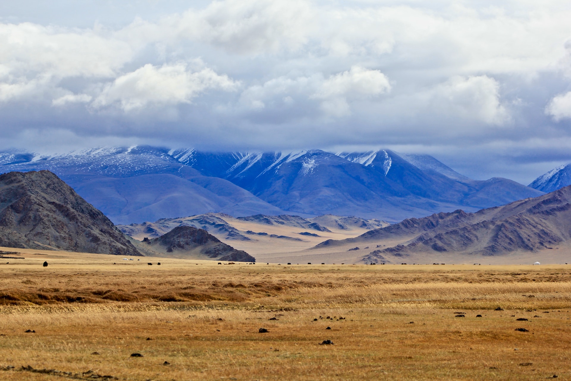 Монгольские пейзажи Монголия