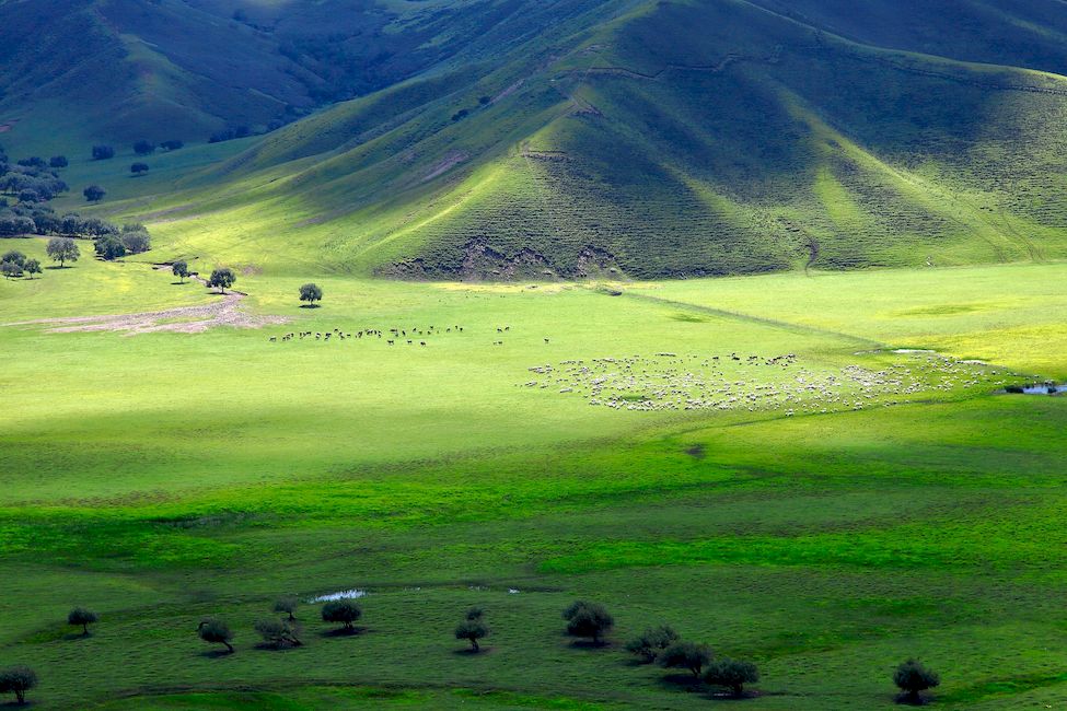 Монгольские пейзажи Монголия