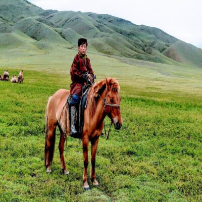 Пастушок Монголия