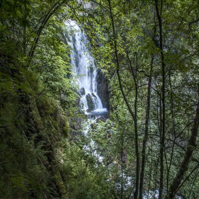Ляжгинский водопад Джейрахско-Ассинский заповедник Джейрахское ущелье Ингушетия