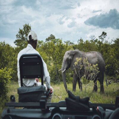 Наблюдение за слонами Национальный парк Крюгера ЮАР