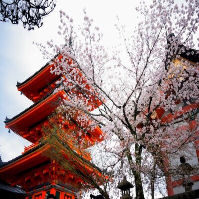 Храм Сенсоджи в Асакусе Япония