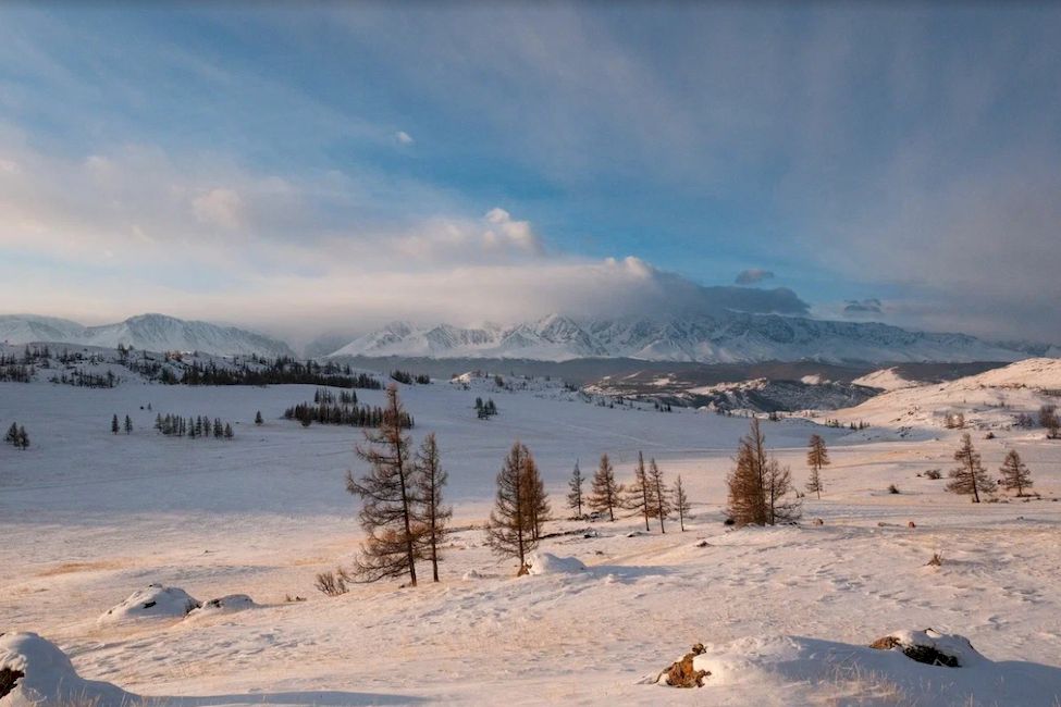 Горы Алтая Алтай Россия