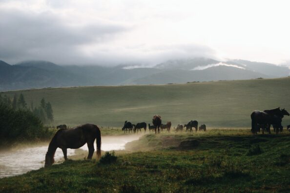 12360Авторский тур в Дагестан «Красота не за горами»