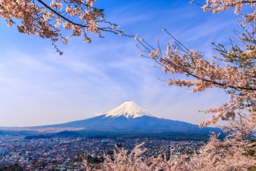 Чиптрип-экспедиция по Японии: от Токио до Хиросимы на цветение сакуры