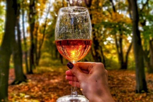 «Осень в бокале»: дегустационный тур по винодельческим хозяйствам Ставрополья