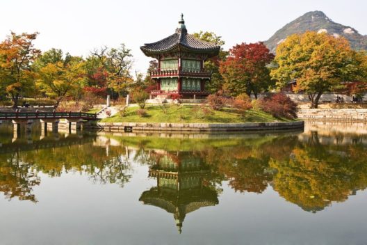 Чиптрип-экспедиция «Осенние краски Южной Кореи»