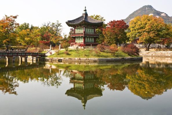 14334Чиптрип-экспедиция «Осенние краски Южной Кореи»