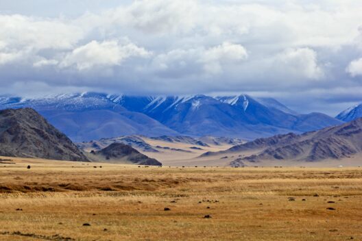Комфортная Монголия
